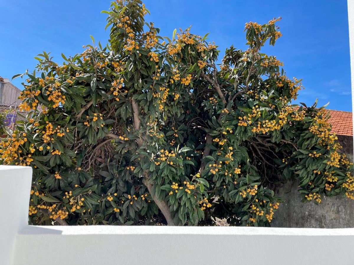 Our Charming House Apartment Portimao Bagian luar foto